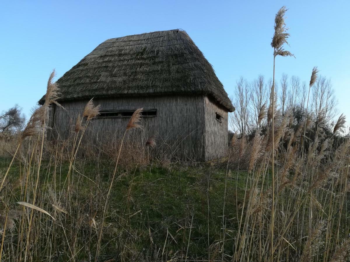 Апартаменты Il Piccolo Albero Скардовари Экстерьер фото